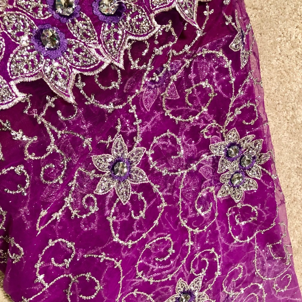 Pakistani/indian saree - Picture 4 of 8